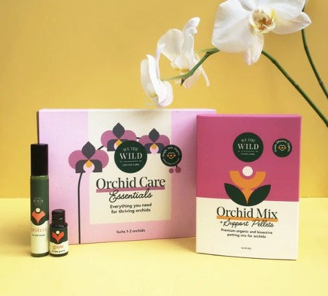 Orchid Care Kit